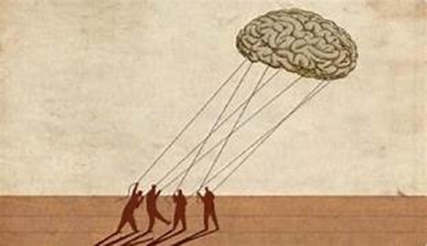 L’ intelligenza del corpo in movimento